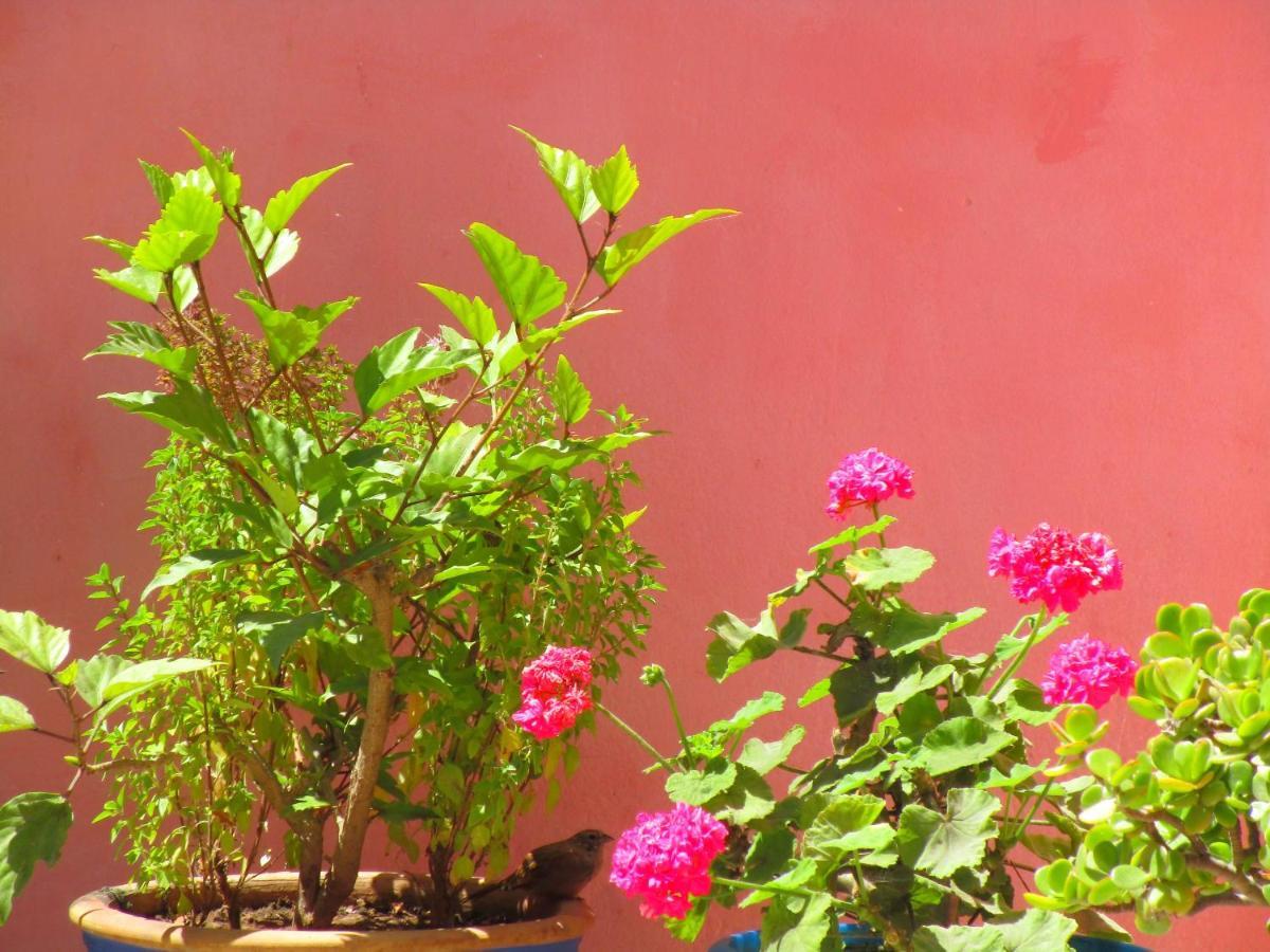 Casa Mogador Appartement Essaouira Buitenkant foto