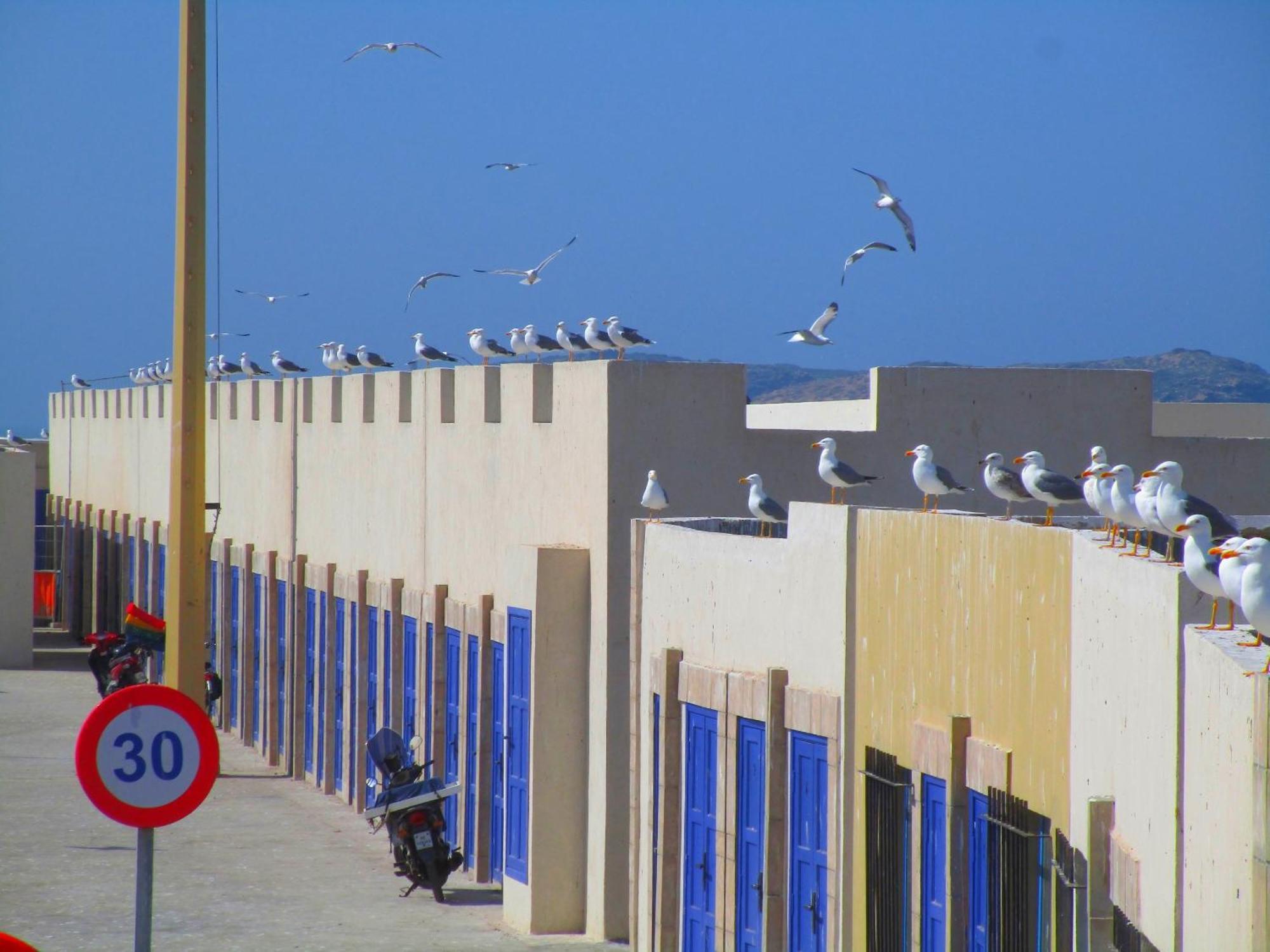 Casa Mogador Appartement Essaouira Buitenkant foto